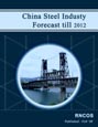 China Steel Industry Forecast till 2012 Research Report