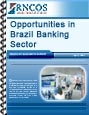 Opportunities in Brazil Banking Sector Research Report