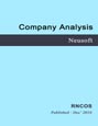 Neusoft - Company Analysis Research Report